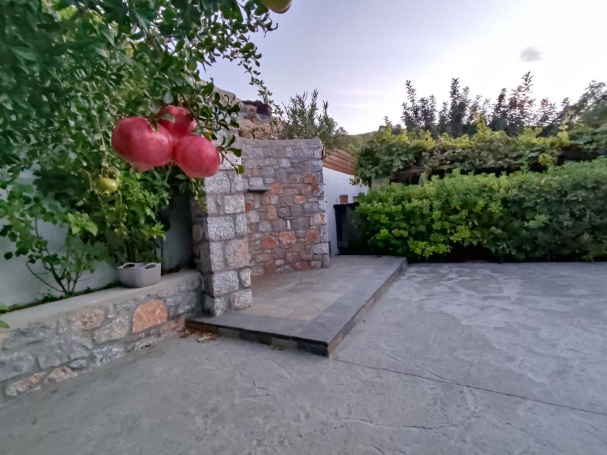 Aithonas Villa Archangelos  Zewnętrze zdjęcie