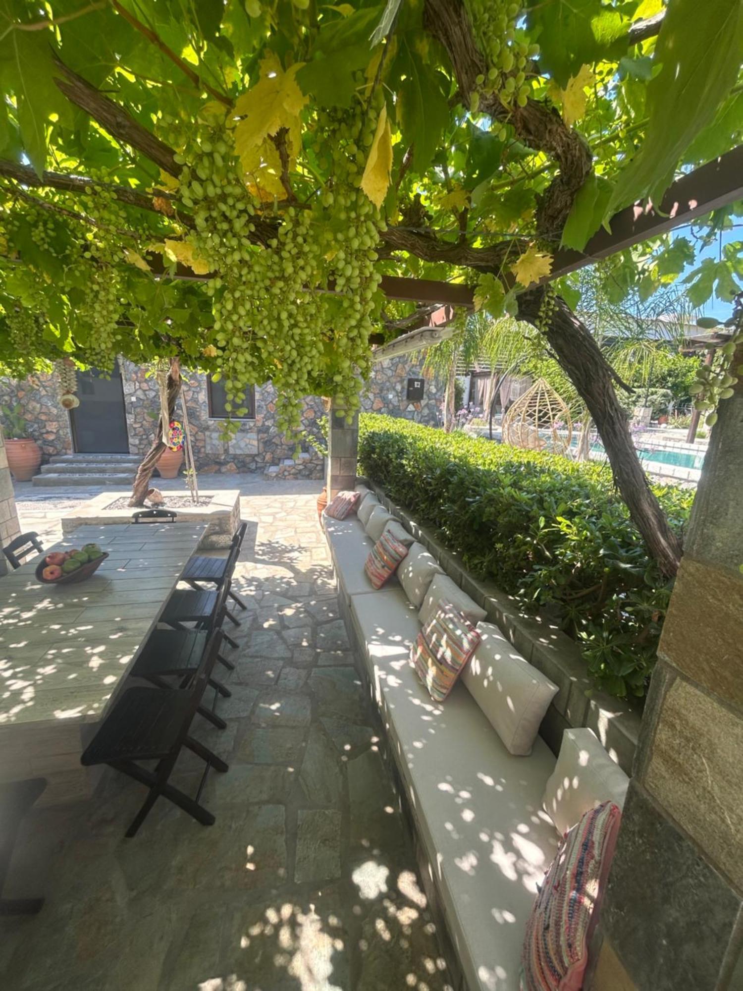 Aithonas Villa Archangelos  Zewnętrze zdjęcie